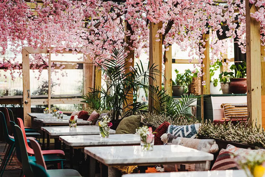 Best Restaurant Patios for Outdoor Dining in DC Washington DC